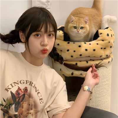 海盐伴游女生星晓莉的资料